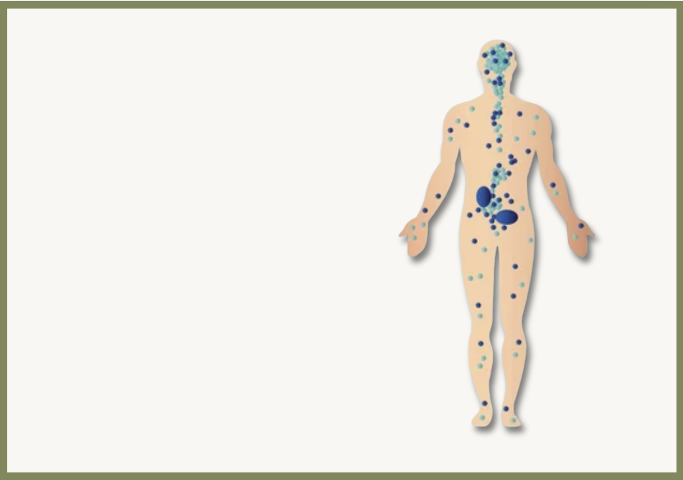 endocannabinoid system